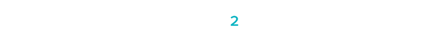 Opus 2 White lp email logo banner2